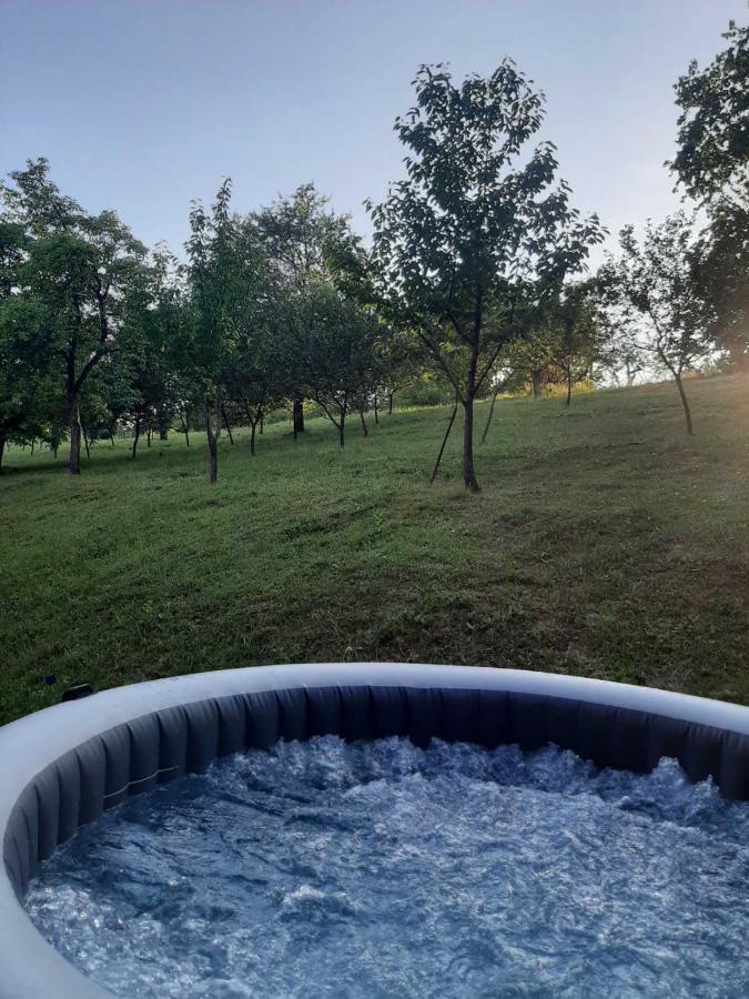Seona Country House Stoljetna Vila المظهر الخارجي الصورة