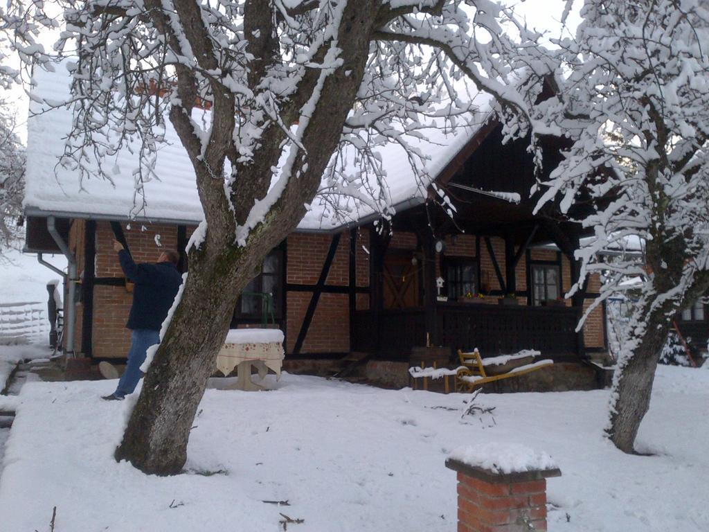 Seona Country House Stoljetna Vila المظهر الخارجي الصورة