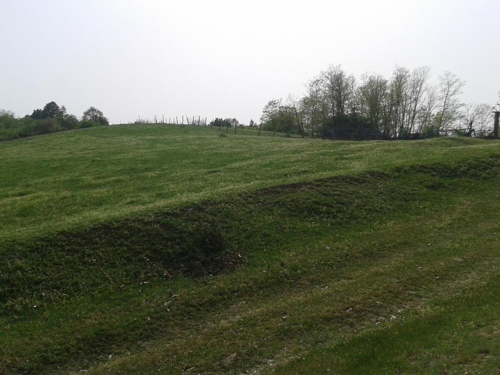 Seona Country House Stoljetna Vila المظهر الخارجي الصورة
