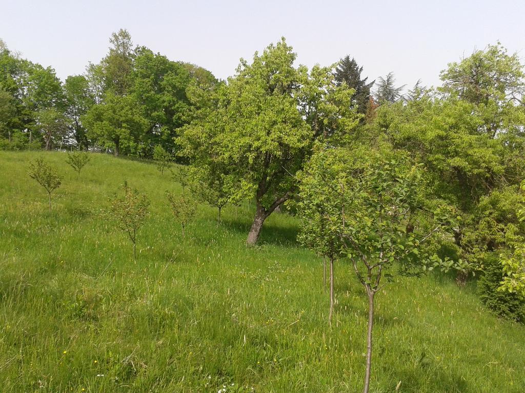 Seona Country House Stoljetna Vila المظهر الخارجي الصورة