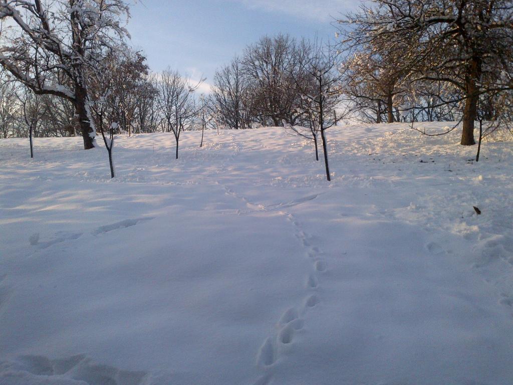 Seona Country House Stoljetna Vila المظهر الخارجي الصورة