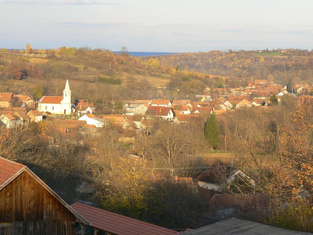 Seona Country House Stoljetna Vila المظهر الخارجي الصورة