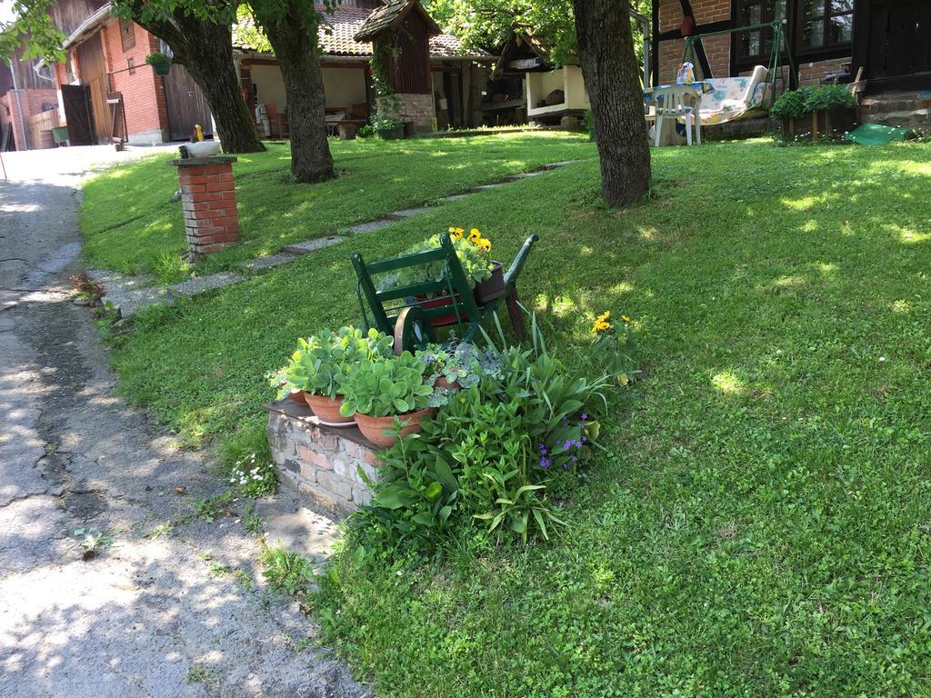 Seona Country House Stoljetna Vila المظهر الخارجي الصورة