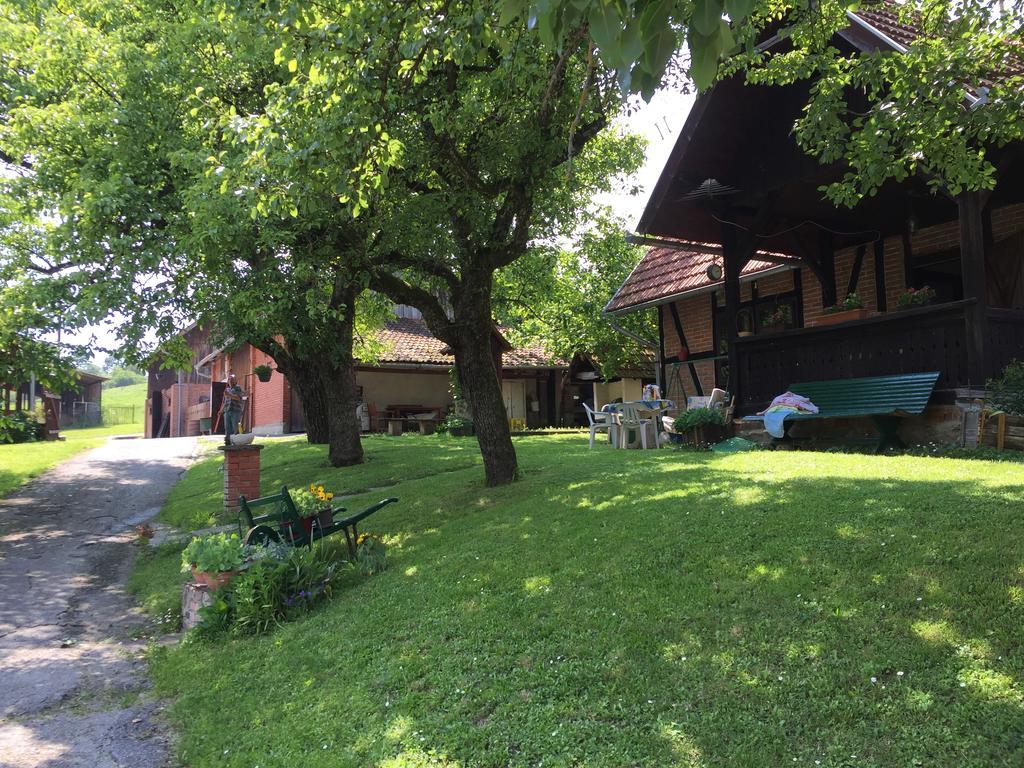 Seona Country House Stoljetna Vila المظهر الخارجي الصورة