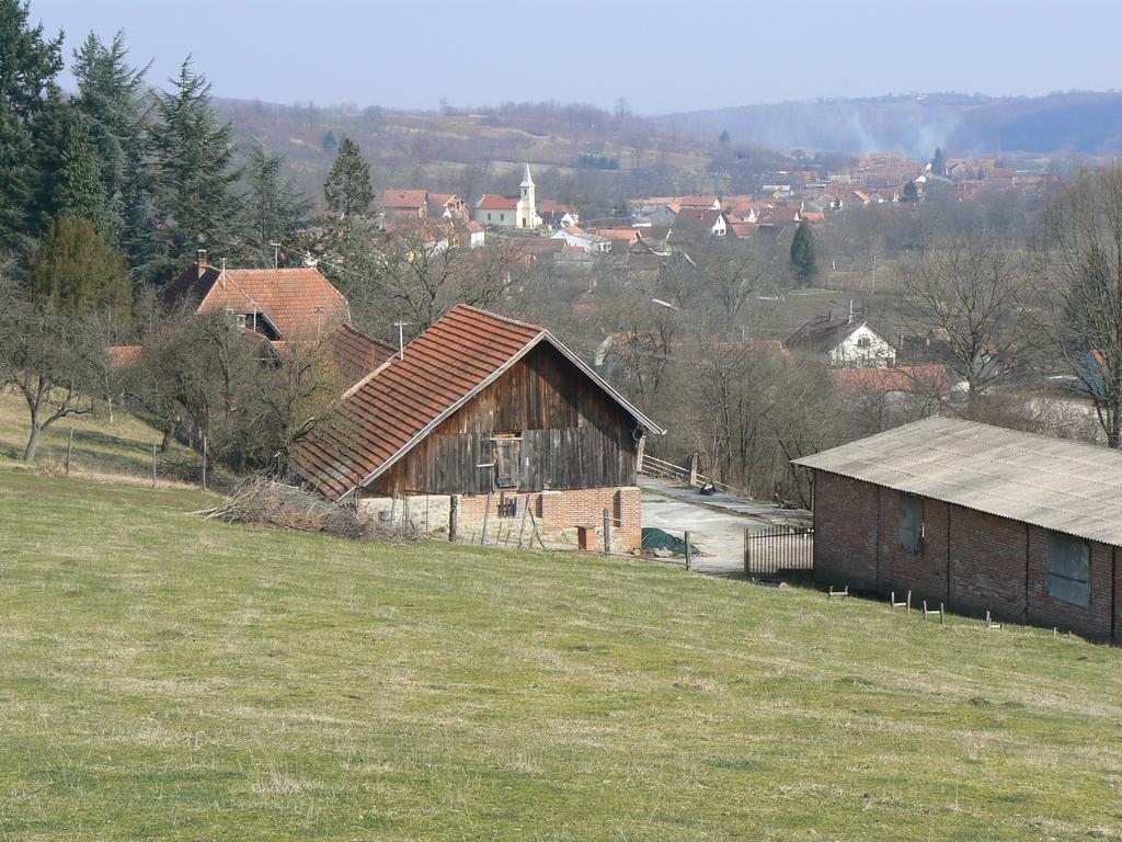 Seona Country House Stoljetna Vila المظهر الخارجي الصورة