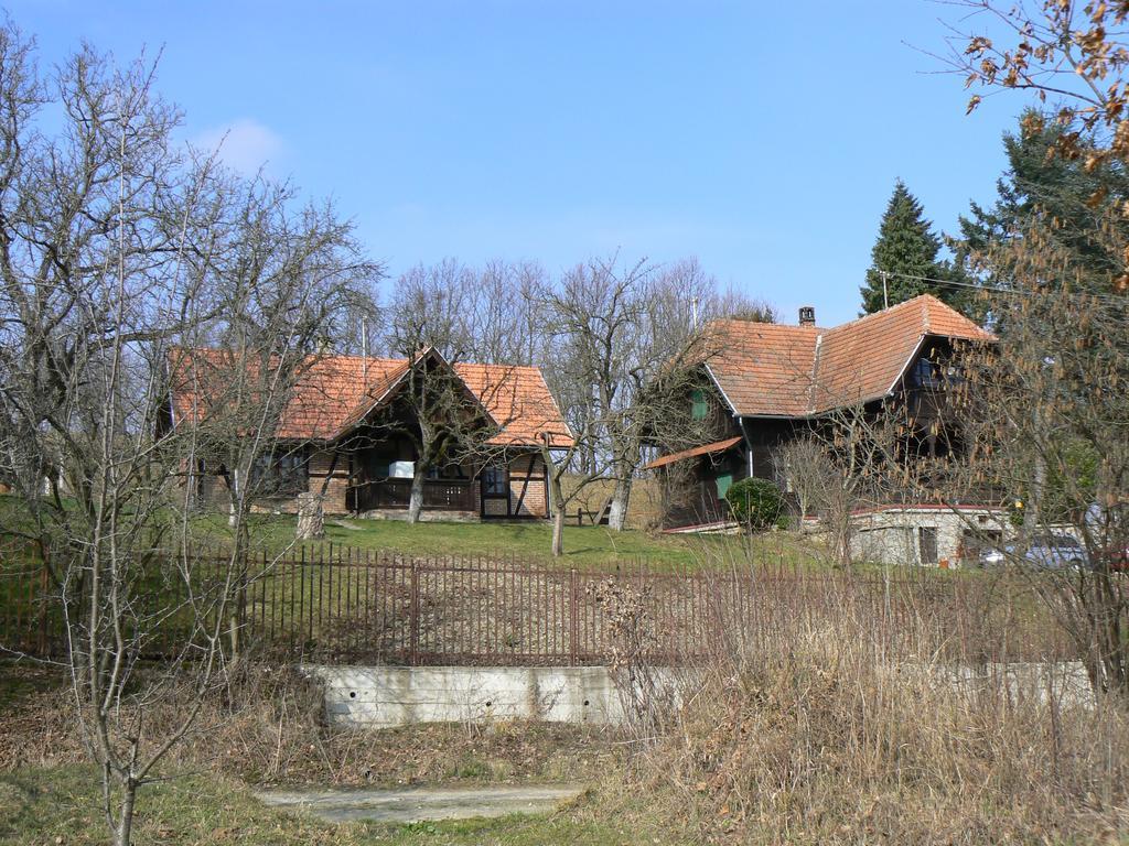 Seona Country House Stoljetna Vila المظهر الخارجي الصورة